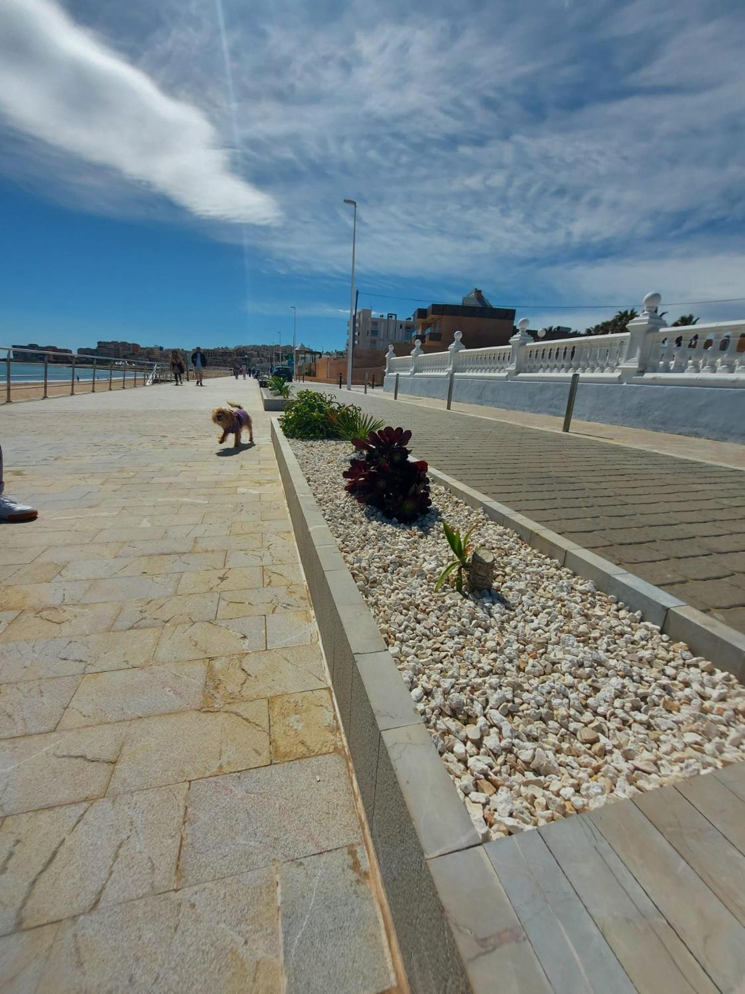 Maravillosa Terraza Con Vistas Al Mar, La Mata Torrevieja Buitenkant foto